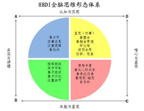 HBDI全脑思维形态体系,分为几个维度或者象限 象限图片是什么 