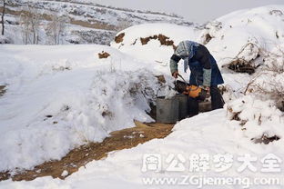 梦见外面下雪了是什么意思 梦到外面下雪了好不好 大鱼解梦网 