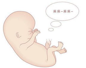 你只需要注意胎宝宝的胎动位置判断生男生女很简单