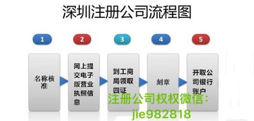 新注册的金融投资公司报税流程，需要本公司提供的资料是什么?需要什么报表，