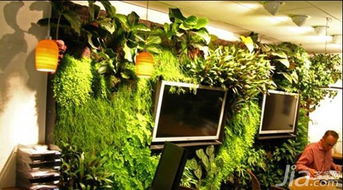 办公室绿植布置妙方 养出事业高升好风水