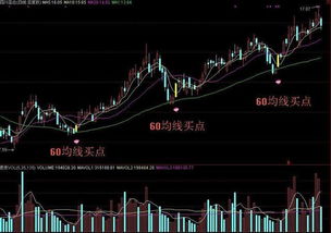 均线，怎么看哪根是，5，10，60，日均线，分别用什么颜色代表，