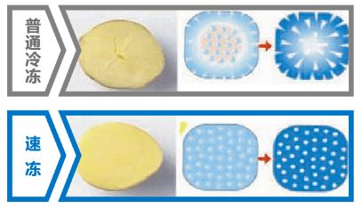 食品速冻的意义
