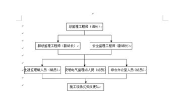 如何用word制作项目组织机构图表word