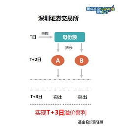 怎么看一只分级基金属于上交所还是深交所