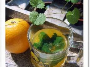 柠檬香草果汁的做法 柠檬香草果汁怎么做 柠檬香草果汁的家常做法 居冰珍 