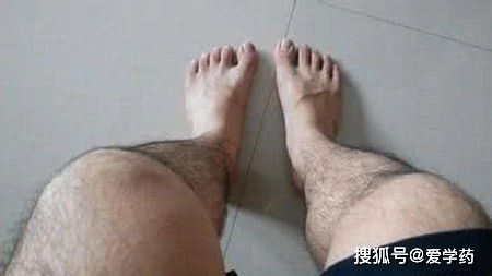 腿毛旺盛和腿毛很少的男人,有什么不同 不妨了解下