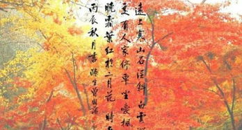 杜牧写的关于秋天的诗句