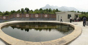 农村饮用自来水过滤池如何建造 有没有更好的水处理办法