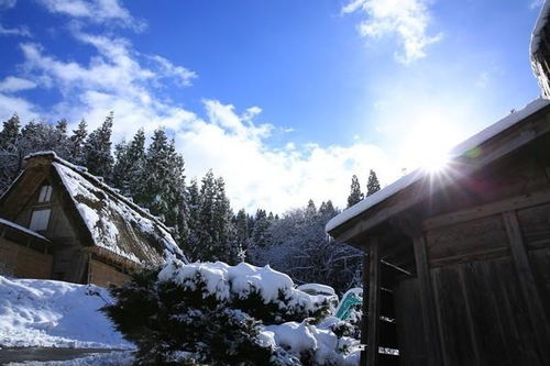 现在中国哪些地方现在下雪了 今天哪个城市下雪了 东煤网