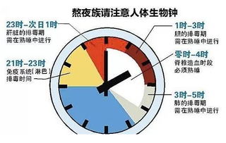 熬夜的手机党们看过来 每天睡6小时和8小时的区别究竟有多大 