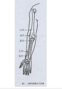 手心出汗是什么原因啊 