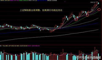 .今天大盘收了个十字星，是上涨空中加油还是反弹到位开始调整？