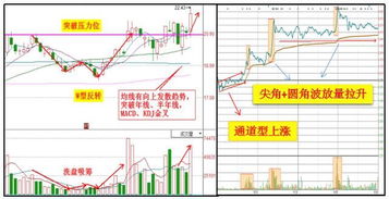 半年线怎么看a