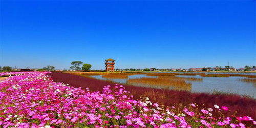 江苏灌云潮河村 打造美丽乡村 生态样板 (灌云免费停车场有哪些小区)