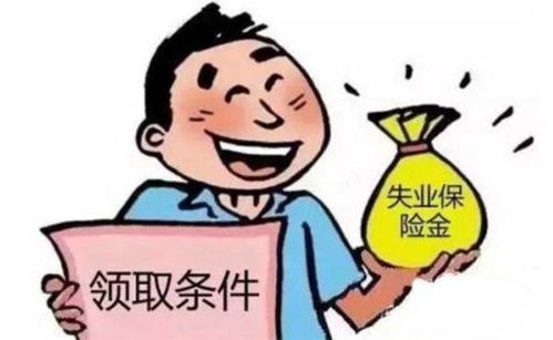 哺乳期有必要买养老保险吗五险里生育保险是什么啊 