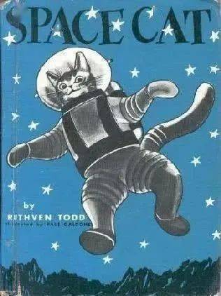 科普 动物航天员先驱 第一只太空猫 费莉切特
