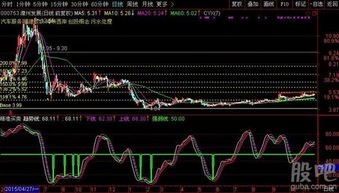 股票上涨能盲目加仓吗？加仓的成本价会偏高？