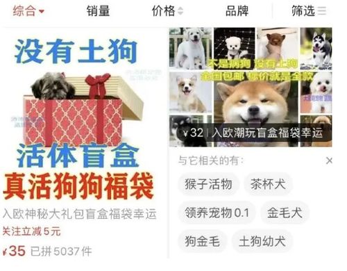 2021CPF重庆宠物展行业解读 利欲熏心下的宠物盲盒经济何时取缔