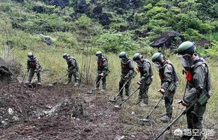 为什么排雷一定要人工排雷，用科技手段或者直接轰炸不可以吗