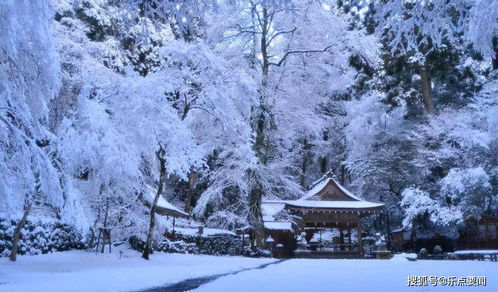 俗话说 雷打雪,人吃铁 ,下雪天打雷真是凶兆吗