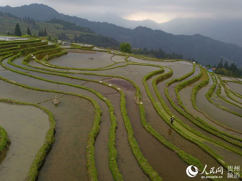 贵州黔东南从江翠里瑶族壮族乡