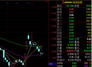 2021绿地控股分红是什么时候