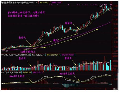 请问股票10送5，买100股得50股，这50股不够1手能否卖出（在网上）？