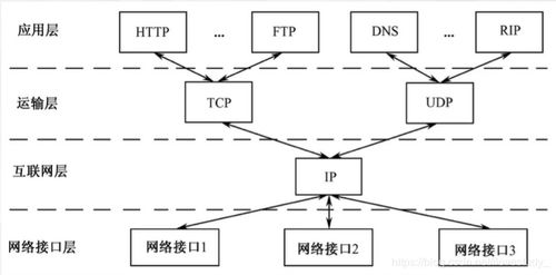 2. 网络体系结构