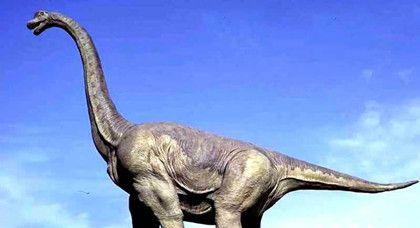 阿根廷发现新的恐龙化石,也许为史上 最大生物 化石