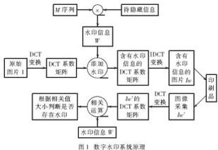 一种印刷品数字水印检测器的设计和实现