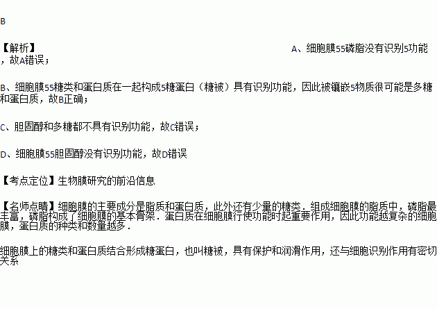 纳米物质的尺寸大小是多少