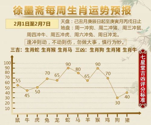 12生肖运势播报 2月1日 2月7日