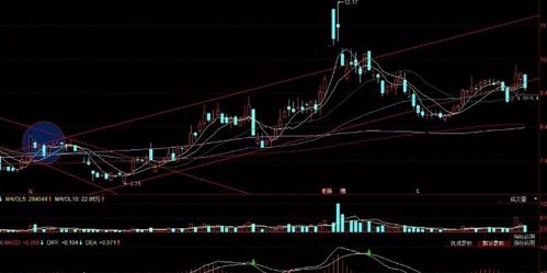 2020年十大金股股票池最终版本