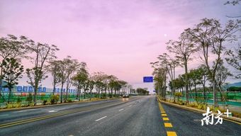 深圳国际生物谷又一主干道通车 坝光片区已完成14条道路建设