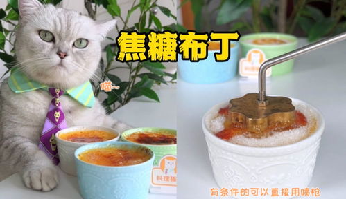 猫王 只要牛奶和鸡蛋,在家就能做出米其林水准的焦糖布丁 63万粉丝364 作品期待你的评论 生活视频 免费在线观看 