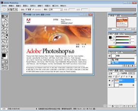 photoshop中文版 6.0