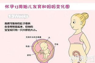 孕8个月孩子长多大 怀孕八个月胎儿正常的体重有多少呢