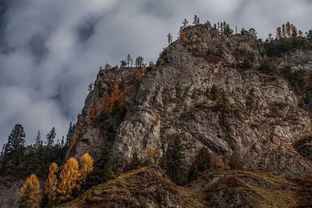 甘南卓尼深山里的仙境 大峪沟梦境般的秋韵炫彩壮丽