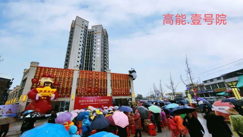 大城市既视感 富顺县代寺镇也有 高档小区 了,价格极其亲民