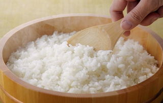 不吃米饭的减肥方式可以吗(不吃米饭真的能减肥)