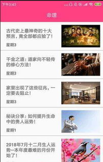 九州八字占卜app手机综合版 九州八字占卜app官方最新版1.0下载 飞翔下载 