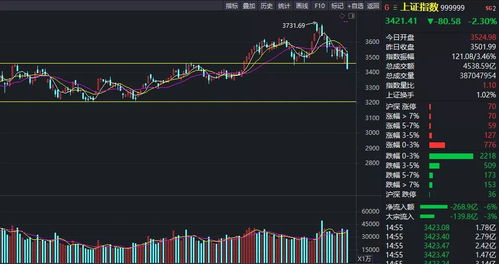 以后一个阶段内什么问题会使股市暴跌