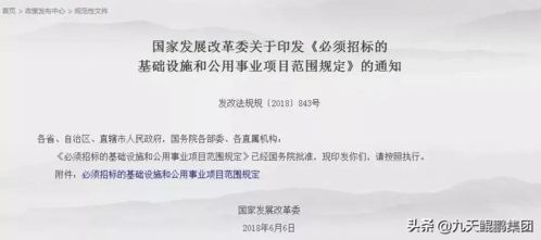 什么叫大型公用事业项目