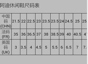 马拉松毕业论文开通报告