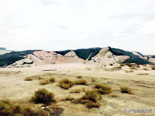 什么地方有收购硅石的