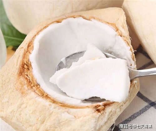 椰子是寒性还是热性,十大温性水果？