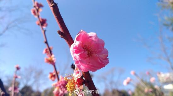 居士可以炒股吗