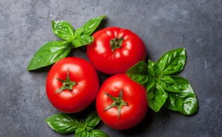 吃西红柿能减肥吗 西红柿减肥的正确做法