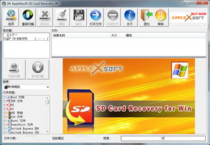 SD卡恢复软件下载 SD卡恢复软件官方正式版下载 52pk软件下载SD卡恢复软件 